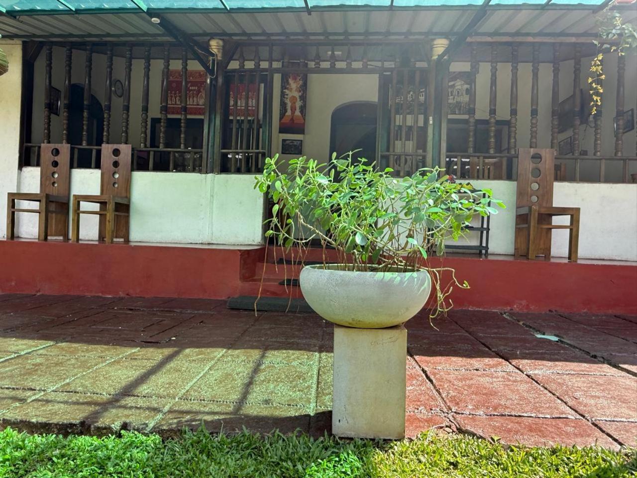 Lake Classical Guest House Kandy Exteriér fotografie
